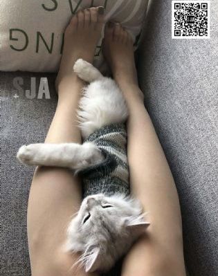 在线欧美人成_BD韩语在线观看电视